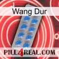 Hard Wang 22